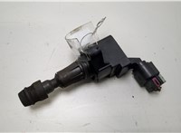 1208089 Катушка зажигания Opel Insignia 2008-2017 20418951 #1