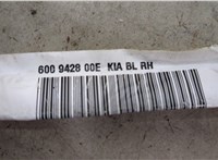  Подушка безопасности боковая (шторка) KIA Sorento 2002-2009 20419028 #6