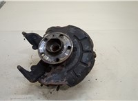  Ступица (кулак, цапфа) Skoda Fabia 2007-2014 20419314 #1