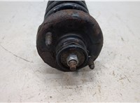  Амортизатор подвески Honda Civic 1998-2001 20419320 #4