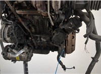  Компрессор кондиционера Ford Focus 2 2008-2011 11403752 #3