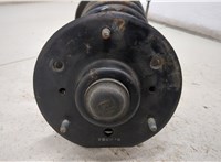  Амортизатор подвески Chevrolet Captiva 2006-2011 20419456 #4