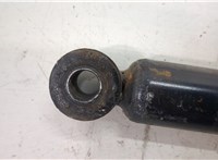  Амортизатор подвески Suzuki SX4 2006-2014 20419491 #4
