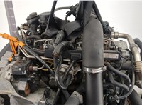 076100031B, 076100091BX Двигатель (ДВС) Volkswagen Crafter 2006-2016 20419499 #12