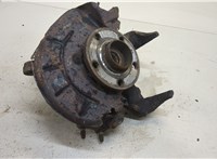  Ступица (кулак, цапфа) Skoda Fabia 2007-2014 20419641 #1