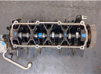  Головка блока (ГБЦ) Volkswagen Golf 4 1997-2005 20420686 #1