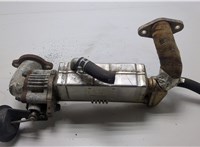  Охладитель отработанных газов Mazda CX-7 2007-2012 20421602 #1