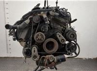  Двигатель (ДВС) Land Rover Range Rover 3 (LM) 2002-2012 20422534 #1
