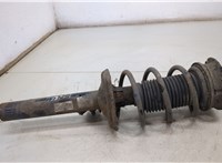 Амортизатор подвески Skoda Octavia (A7) 2013-2023 20422840 #1