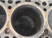  Блок цилиндров (Шорт блок) Mercedes C W204 2007-2013 20423083 #11