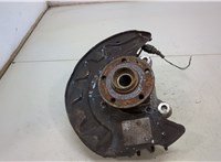 5WA407621D, 5Q0407254A Ступица (кулак, цапфа) Volkswagen Golf 7 2012-2020 20423256 #1