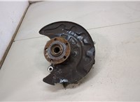 5WA407621D, 5Q0407253A Ступица (кулак, цапфа) Volkswagen Golf 7 2012-2020 20423338 #1