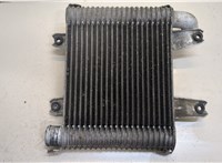 Радиатор интеркулера KIA Carnival 2001-2006 20424628 #1