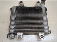 Радиатор интеркулера KIA Carnival 2001-2006 20424628 #3