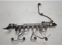  Рампа (рейка) топливная Volkswagen Tiguan 2007-2011 20424782 #1