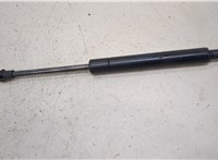 51238402551 Амортизатор капота BMW X5 E53 2000-2006 20424853 #1