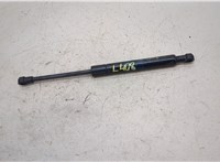 51238402551 Амортизатор капота BMW X5 E53 2000-2006 20424857 #1