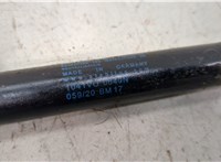 51238402551 Амортизатор капота BMW X5 E53 2000-2006 20424857 #2