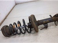  Амортизатор подвески Lexus RX 1998-2003 20425514 #1