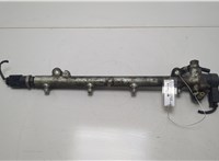  Рампа (рейка) топливная Mercedes Vito W638 1996-2003 20425643 #1