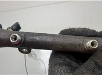  Рампа (рейка) топливная Mercedes Vito W638 1996-2003 20425643 #2