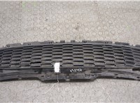 0404123 Решетка радиатора Mini Cooper (R56/R57) 2006-2013 20427069 #1