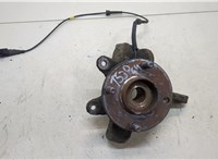  Ступица (кулак, цапфа) Ford Fiesta 2001-2007 20427965 #1