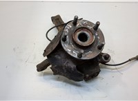  Ступица (кулак, цапфа) Nissan Qashqai 2006-2013 20428198 #1