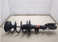 DB5Z18124AC, DB5Z5310G Амортизатор подвески Ford Explorer 2010-2015 20428732 #7