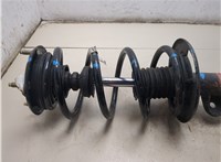 DB5Z18124AC, DB5Z5310G Амортизатор подвески Ford Explorer 2010-2015 20428732 #8