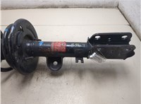 DB5Z18124AC, DB5Z5310G Амортизатор подвески Ford Explorer 2010-2015 20428732 #9
