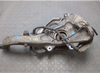 31226867808, 31216869869, 34106895049, 6867808 Ступица (кулак, цапфа) BMW X5 E70 2006-2013 20429048 #8