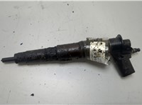 13537792721, 13537809193 Форсунка топливная BMW X3 E83 2003-2010 20429691 #1