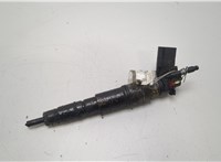 13537792721, 13537809193 Форсунка топливная BMW X3 E83 2003-2010 20429692 #1