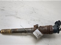 1980L1, 1980CQ Форсунка топливная Citroen C3 picasso 2009-2017 20429740 #1