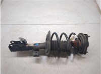 485208Z181, 4813106G50 Амортизатор подвески Toyota Camry XV70 2017-2021 20429747 #4