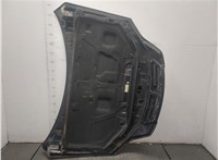  Капот KIA Sorento 2002-2009 20431046 #6