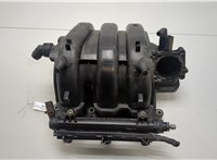  Коллектор впускной Volkswagen Polo 2005-2009 20431146 #1