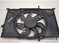  Вентилятор радиатора Mercedes A W169 2004-2012 20431313 #1