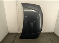  Капот Hyundai Trajet 20431344 #1