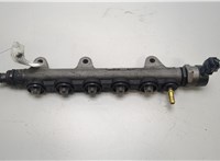 8201040904 Рампа (рейка) топливная Renault Koleos 2008-2016 20431467 #1