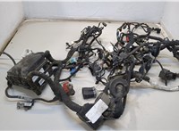  Электропроводка Ford Escape 2019-2022 20431541 #1