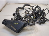  Электропроводка Toyota Camry V40 2006-2011 20431629 #1