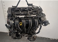  Двигатель (ДВС) Ford Focus 2 2005-2008 20431727 #6