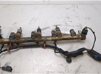  Форсунка топливная Ford Mondeo 4 2007-2015 20432491 #1