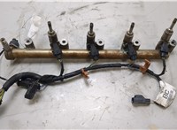  Форсунка топливная Ford Mondeo 4 2007-2015 20432491 #2