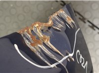  Крышка (дверь) багажника KIA Carnival 2001-2006 20432514 #12