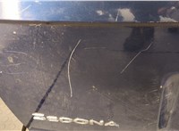  Крышка (дверь) багажника KIA Carnival 2001-2006 20432522 #8