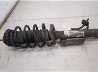  Амортизатор подвески Ford Fusion 2002-2012 20433070 #1