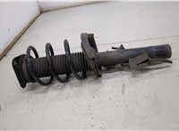  Амортизатор подвески Ford Focus 2 2008-2011 20433105 #1